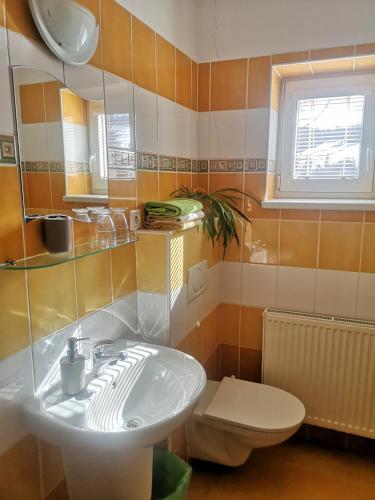 a bathroom with a sink and a toilet at Ubytování Kuncovi in Bedřichov