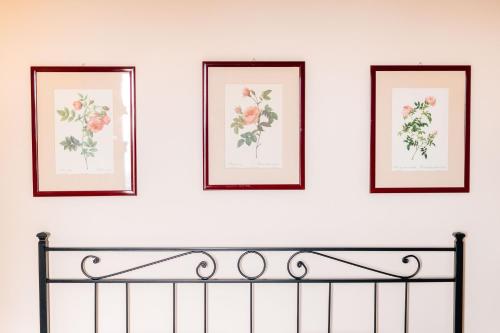 Φωτογραφία από το άλμπουμ του Holiday Home Il Borgo Degli Agrumi σε Uzzano