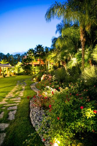 ポンティーニアにあるHotel Aresの花とヤシの木が植わる庭園