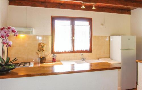 een keuken met een wastafel en een witte koelkast bij Beautiful Home In St, Julien De Peyrolas With Wifi in Aiguèze