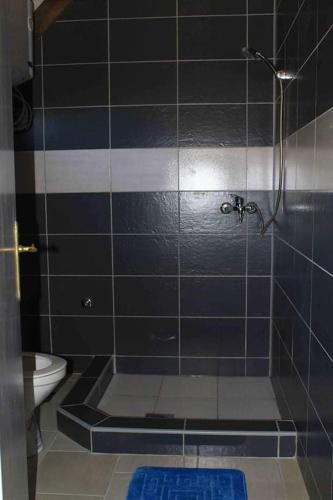 a bathroom with a shower and a toilet at Flora&Fauna in Bihać