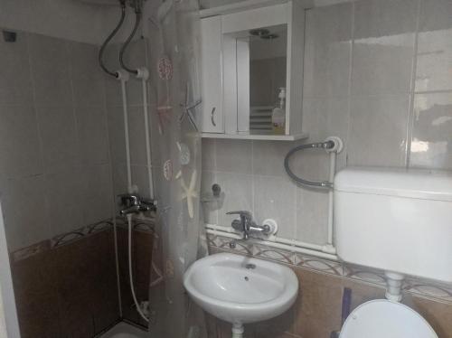 Fotografie z fotogalerie ubytování Sanja Accomodation v destinaci Soko Banja