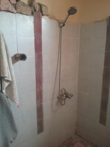 a shower with a shower head in a bathroom at Hidden place in ‘Izbat Ţanāţī