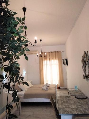 a bedroom with a bed and a potted plant at Idomeneas Apartments in Sougia