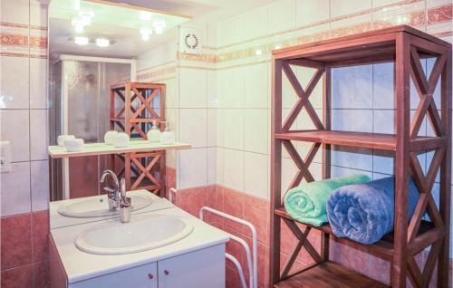 索伊茨的住宿－1 Bedroom Gorgeous Home In Thueyts，一间带水槽和镜子的浴室