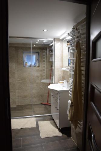 La salle de bains est pourvue d'une douche et d'un lavabo. dans l'établissement Pod Rusztem Agroturystyka, à Wysowa-Zdrój