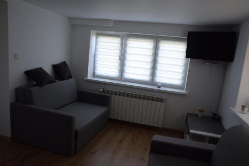 a living room with a couch and a window at Pod Rusztem Agroturystyka in Wysowa-Zdrój