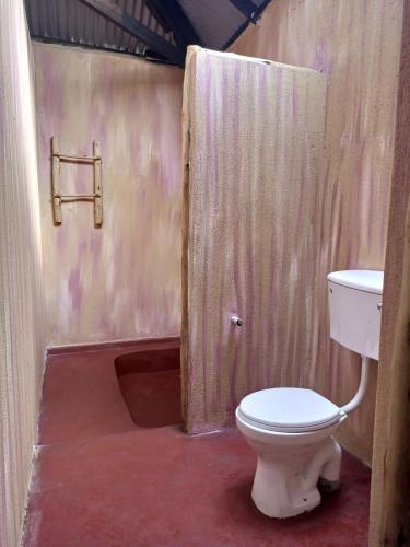 a bathroom with a toilet and a shower at Nguse River Camp in Kikube