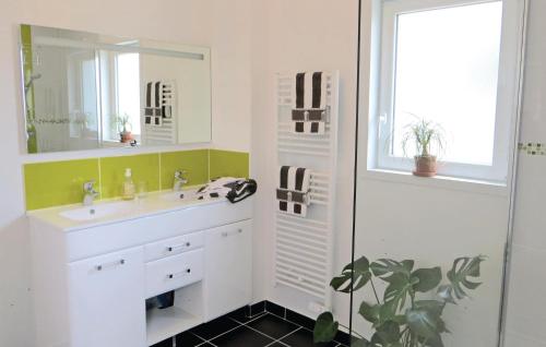 La salle de bains est pourvue d'un lavabo, d'un miroir et d'une douche. dans l'établissement 3 Bedroom Nice Home In Brain-sur-alonnes, à Brain-sur-Allonnes