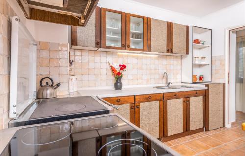 Η κουζίνα ή μικρή κουζίνα στο 1 Bedroom Awesome Apartment In Prezid