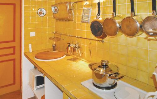 - une cuisine avec un évier, des casseroles et des poêles au mur dans l'établissement 1 Bedroom Stunning Home In Caderousse, à Caderousse