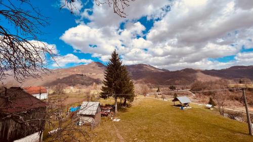 a field with a tree and mountains in the background at Tara Place - Camp Rabrenovic in Mojkovac