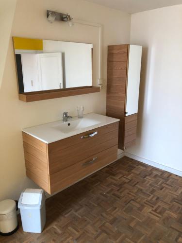 La salle de bains est pourvue d'un lavabo et d'un miroir. dans l'établissement Den Belgiek beer and bed apartment, à Grammont