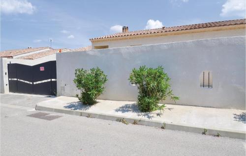two trees in front of a wall with a garage at Amazing Home In Sernhac in Sernhac