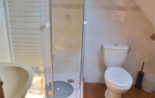 ein Bad mit einem WC, einer Dusche und einem Waschbecken in der Unterkunft Beautiful Home In Ruffiac With 2 Bedrooms And Wifi in Ruffiac