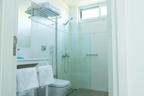 La salle de bains blanche est pourvue d'une douche et de toilettes. dans l'établissement Cinco Soles, à Godoy Cruz