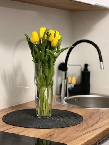 Dapur atau dapur kecil di Guest House Anna