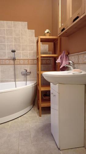 a bathroom with a sink and a bath tub and a sink at Raduńska Ostoja in Dziemiany