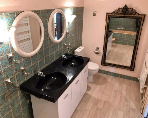 a bathroom with a sink and a mirror and a toilet at Maison de vacances au cœur des Pyrénées in Eysus