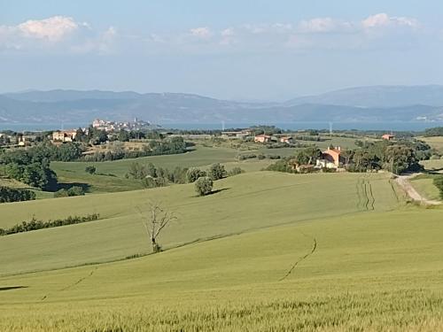 un campo verde con árboles y casas a lo lejos en Casa La Selvella, en Gioiella