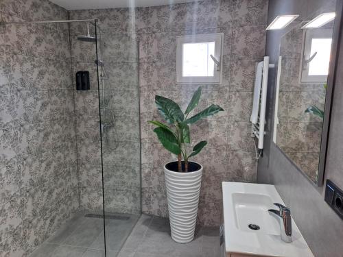 a bathroom with a plant in a vase on the wall at LEVANTE SUITES in Benidorm
