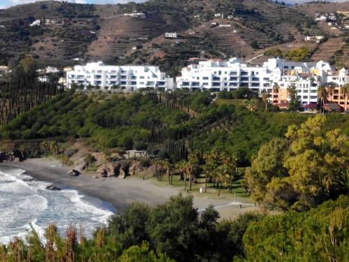vistas a una playa con palmeras y edificios en urb. costa galera, en Almuñécar