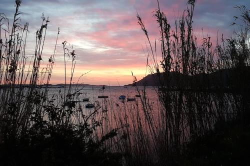 a group of boats in the water at sunset at L'Original, Superbe appartement à 5min de la plage in Zonza