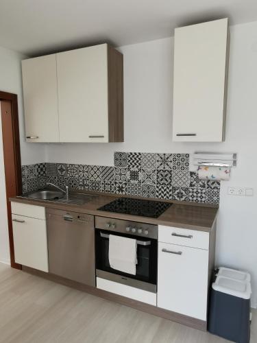 Kuchyň nebo kuchyňský kout v ubytování La Casa Suciu