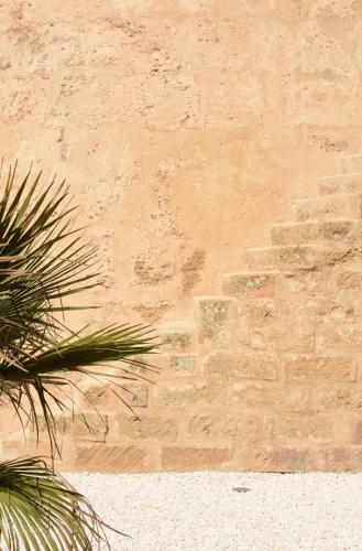 a brick wall with a palm tree in front of it at Torre Granitola Suite in Granitola