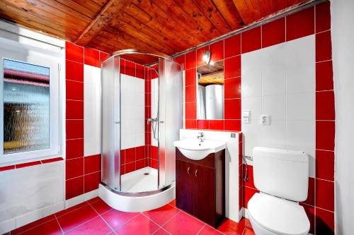 a red and white bathroom with a toilet and a sink at Pronájem chalupy Seč-Rostejn in Drhotín