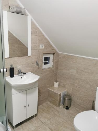 a bathroom with a sink and a toilet at Casa Lidia in Râu de Mori