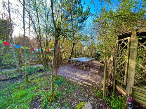 a blue ping pong table in the middle of a forest at Driftwood Country Apartment in Skibbereen