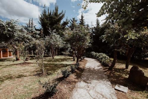 a dirt path through a forest with trees at Chalet Andino Sesquile in Suesca