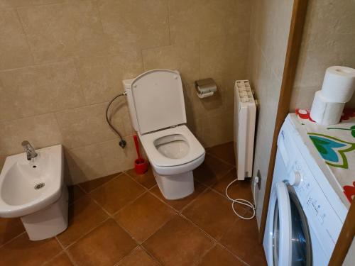 Baño pequeño con aseo y lavamanos en Apartment in Llavorsi in the heart of the Catalan Pyrenees, en Llavorsí