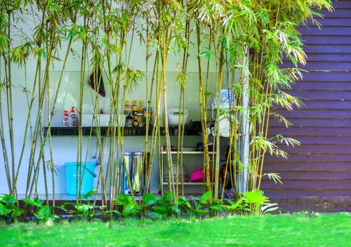 Κήπος έξω από το Coconut Garden Đồng Tháp