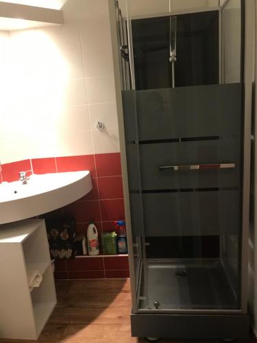 een glazen douche in een badkamer met een wastafel bij Appartement aux pieds des pistes la tania courchevel in La Perrière