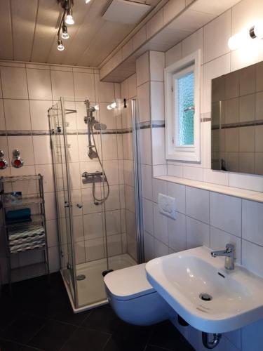 een badkamer met een douche en een wastafel bij Ferienwohnung Ostrau in Bad Schandau