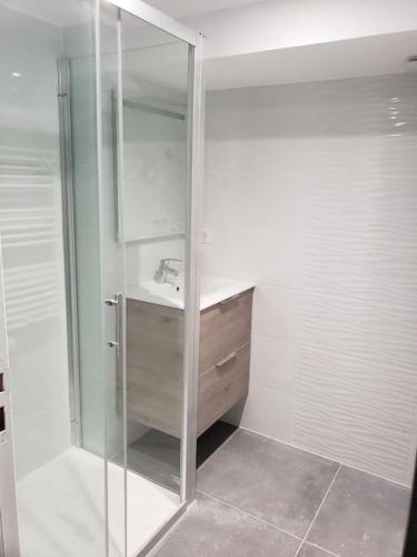 une salle de bain avec un lavabo et une douche en verre dans l'établissement Appartement T3 3 étoiles à 4 km de la plage, à Tarnos