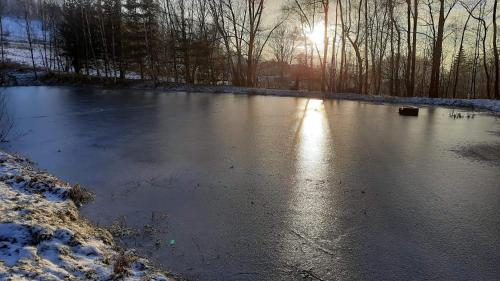 a frozen pond with the sun shining on it at Noclegi Różanka in Radomierz