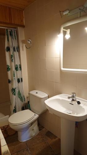 een badkamer met een toilet en een wastafel bij Les Llucanes in Ribera de Cardós