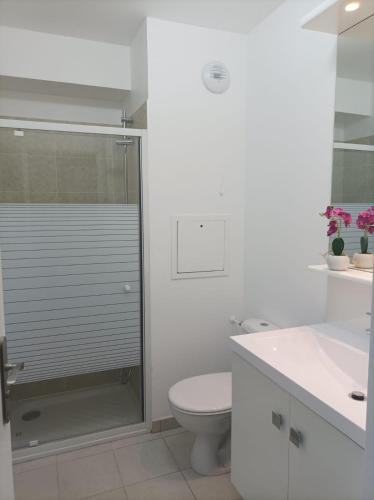 une salle de bain avec une douche, des toilettes et un lavabo dans l'établissement Studio chic à deux pas de Disneyland Paris !!!, à Serris