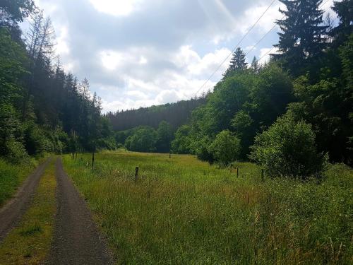a dirt road in the middle of a field at Ferienwohnung Jansen "Drei" in Bad Schwalbach