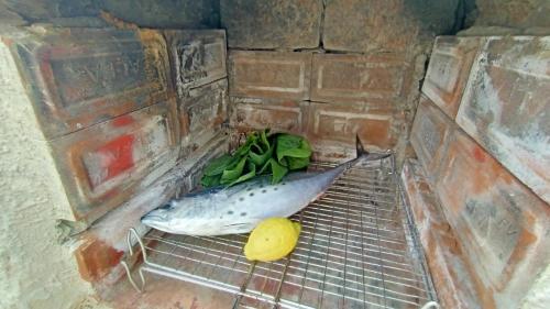 Gambar di galeri bagi La Casa Dei Delfini di Lampedusa