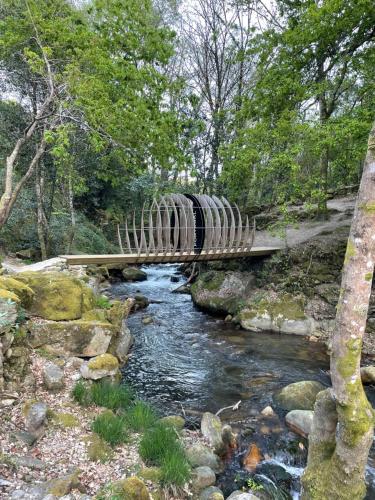 奧倫塞的住宿－Casa 2 Gallos，森林中一条小溪上的木桥