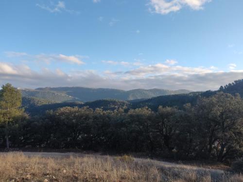 a view of a valley with trees and mountains at CR La Carrasca in Riópar