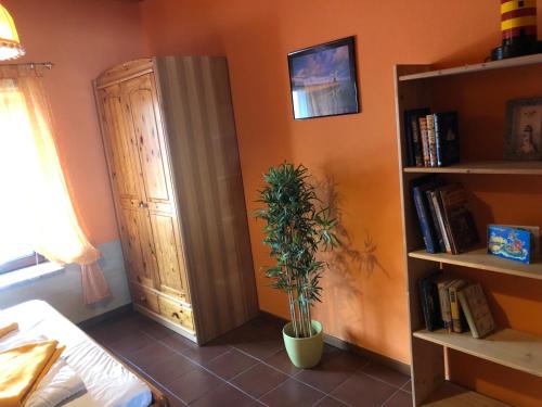 um quarto com uma estante de livros e uma planta em Villa Kunterbunt Ostsee em Schashagen