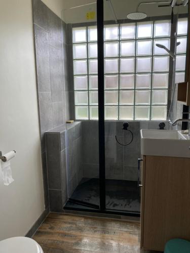 une salle de bain avec douche et lavabo dans l'établissement Petite Campagne au coeur des gorges du Verdon, à Allemagne-en-Provence