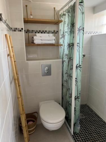 een badkamer met een toilet en een douchegordijn bij L échappée belle Coquet appt proche du village naturiste , terrasse et parking in Cap d'Agde