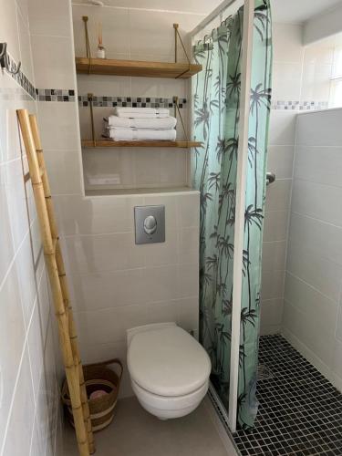 une salle de bain avec toilettes et rideau de douche dans l'établissement Appartement proche village naturiste, terrasse et parking, au Cap d'Agde
