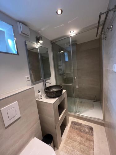 a bathroom with a sink and a shower at De Spaier 3a in Zoutelande